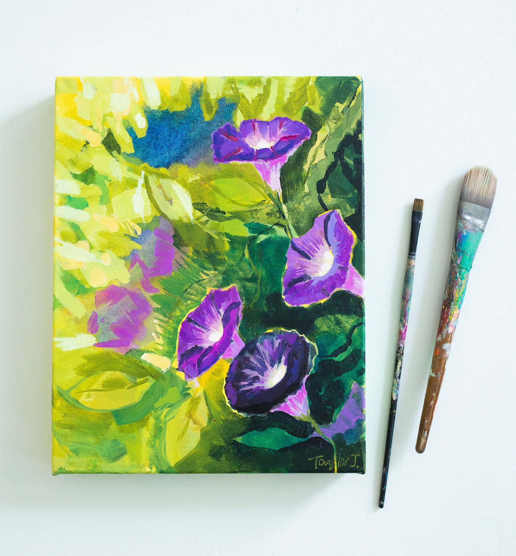 Morning Glory #1 - 11x14 gallery wrapped canvas – Canvas + Kind